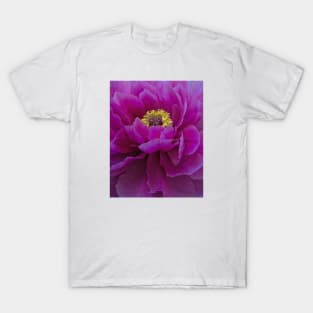 Dark Magenta Peony T-Shirt